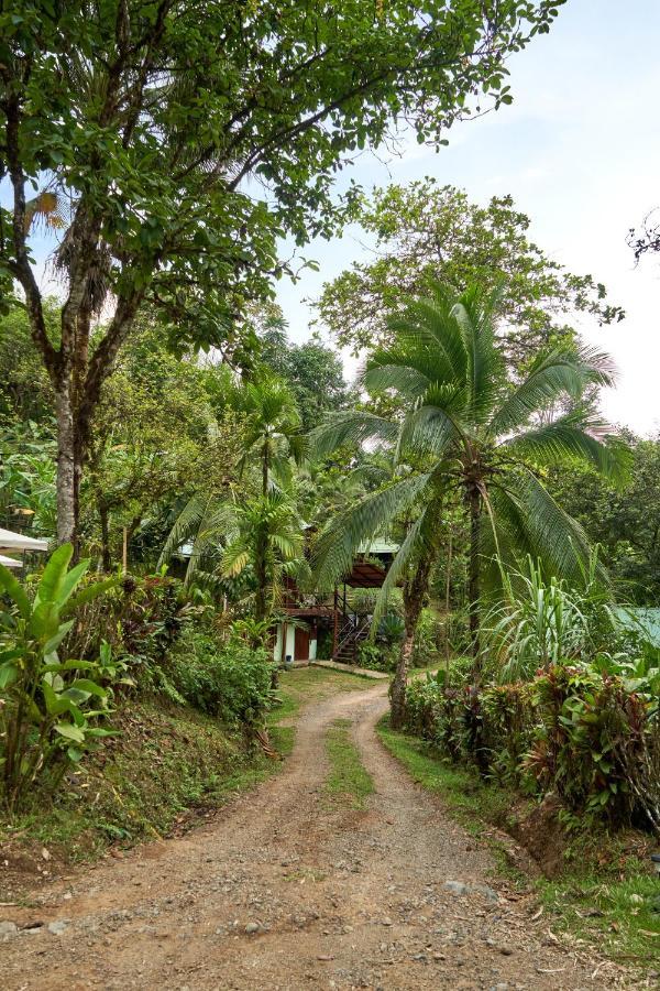 Sukia Hostel Drake Bay Exterior foto