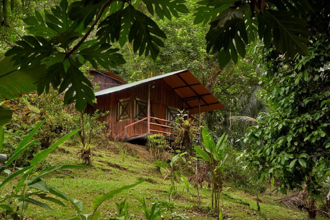 Sukia Hostel Drake Bay Exterior foto