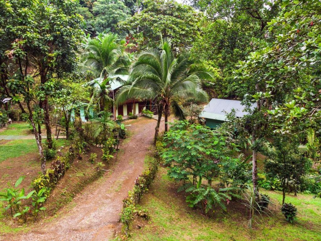 Sukia Hostel Drake Bay Exterior foto
