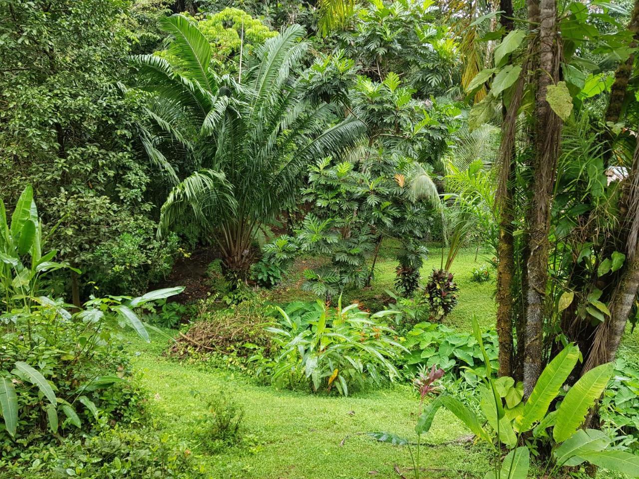 Sukia Hostel Drake Bay Exterior foto