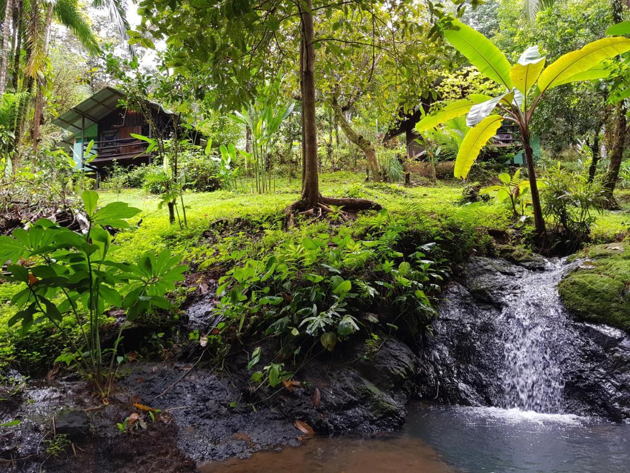 Sukia Hostel Drake Bay Exterior foto