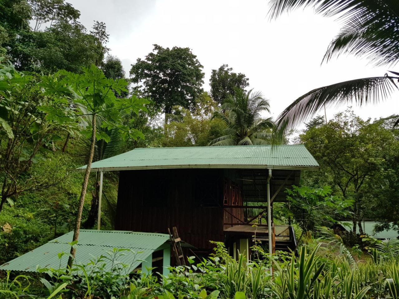 Sukia Hostel Drake Bay Exterior foto